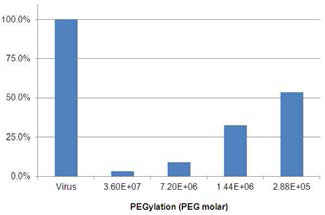 아데노바이러스 PEG 수식에 따른 free-lysine 감소