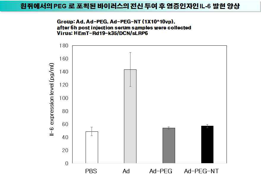 생체 내 동물 모델에 전신 투여한 뒤 혈액 내에 있는 IL-6 분석