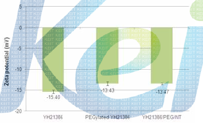 PEGylation 공정에 따른 zeta potential의 변화 측정