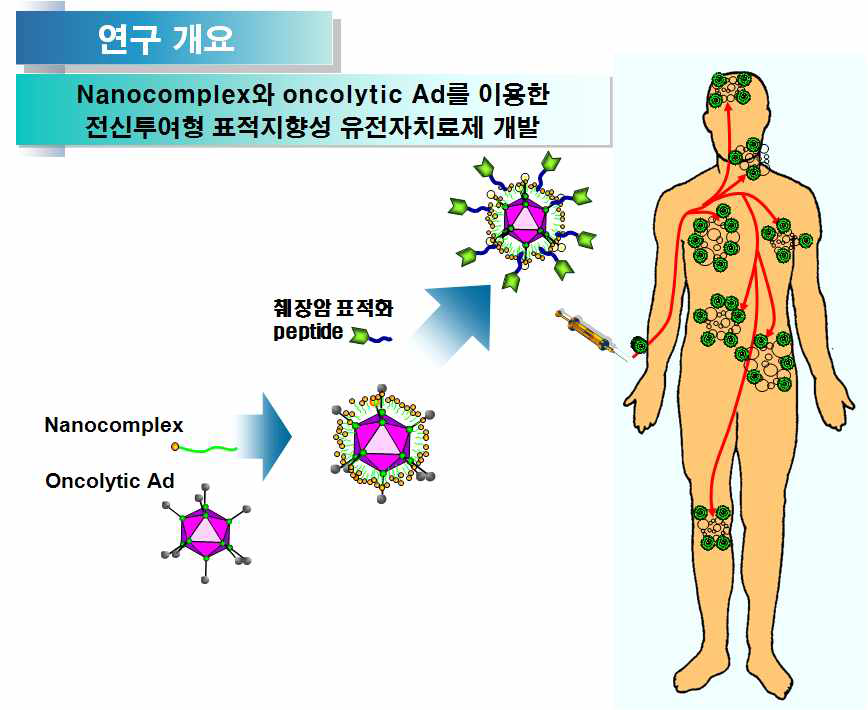 본 연구의 개요