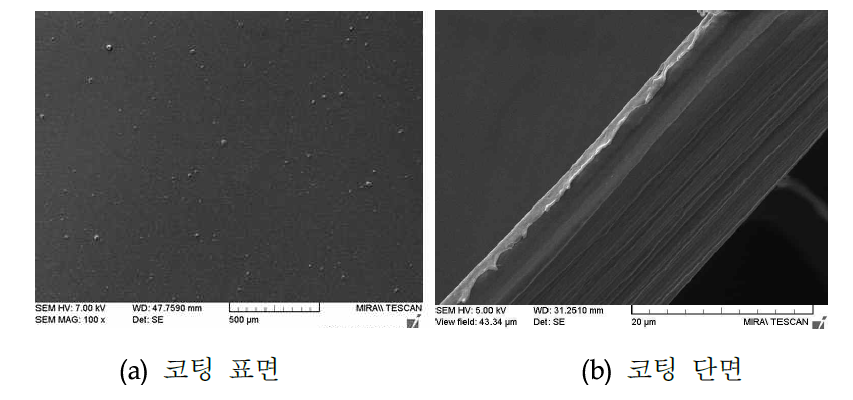 표면 및 단면 형상(FE-SEM)