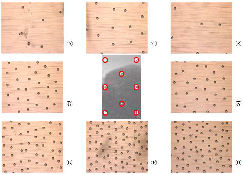 성형 패턴 현미경을 통한 전수 검사 (× 10)