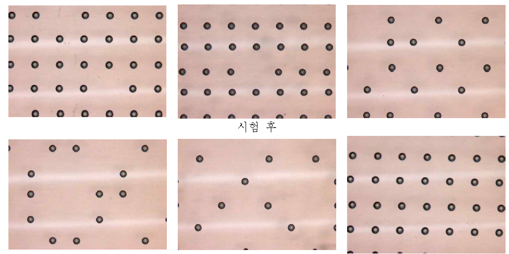 하부 Mold 시험 결과 현미경 관찰 이미지_ 패턴 1 (× 10)