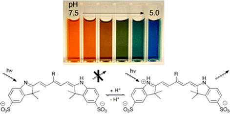pH에 따른 색상 변화와 형광의 발현