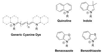 cyanine 및 알려진 헤테로 화합물 유도체의 일반식