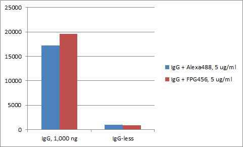 ELISA로 확인한 타사 형광 2차 항체 제품과의 감도 비교