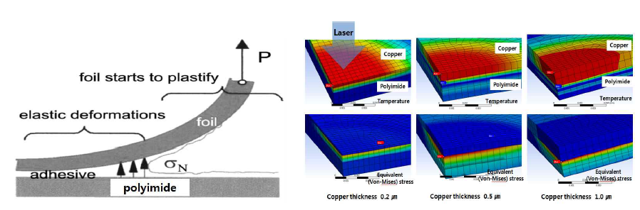 구리/폴리이미드 2층 구조에서 박리 현상 개략도 및 FEM 온도 해석