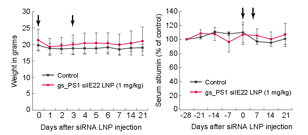 siIE22 LNP으로 제형한 후 인간의 간세포로 치환된 마우스(PhoenixBio)에 꼬리정맥을 통해 3일 간격으로 2회 1 mg/kg 농도로 주입. 주입 후 매일 몸무게와 혈청에 존재하는 알부민의 농도를 분석함. 화살표는 siIE22 LNP를 주입한 시 점.