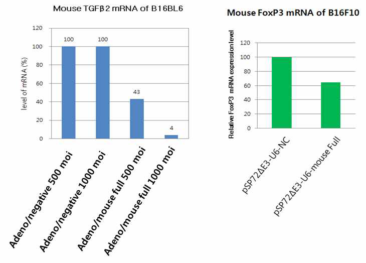 네가지 마우스 유전자를 발현하는 아데노바이러스 및 플라즈미드에서 TGF-β2와 FoxP3 mRNA 발현저하