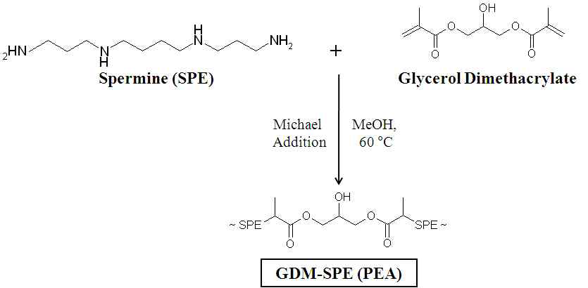 GDM-SPE (PEA) 합성 도식