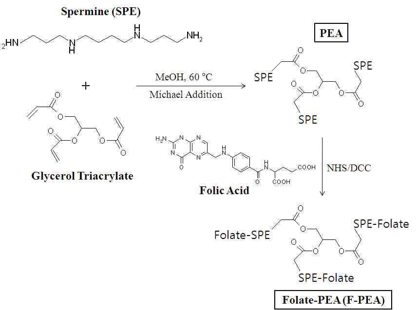 GTA-SPE PEA와 Folate-GTA-SPE (F-PEA) 합성 도식