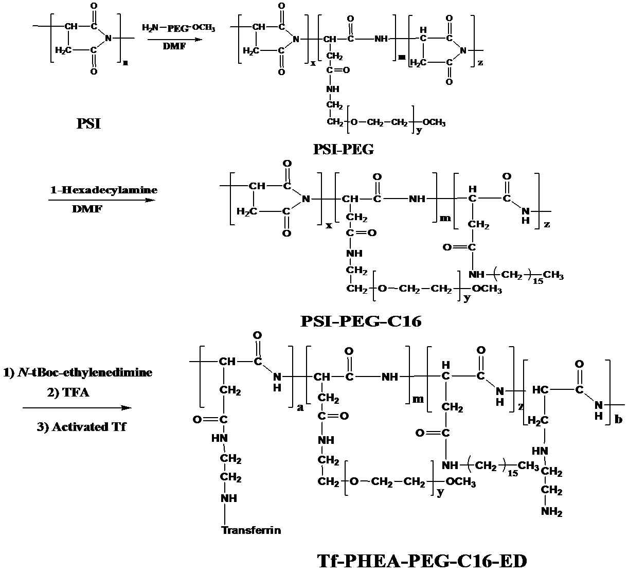 Tf-폴리아미노산/PEG/폴리아민 합성 도식
