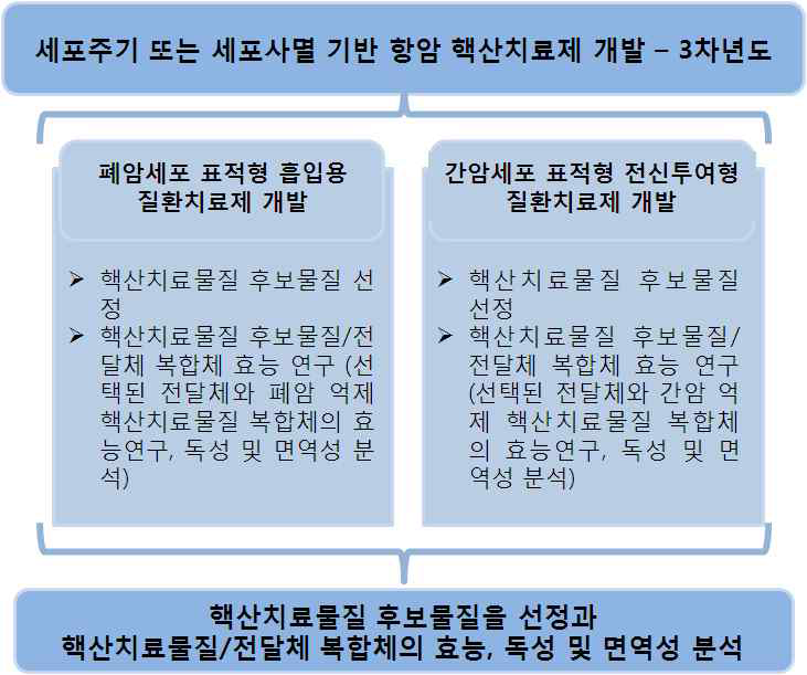 3차년도 시스템 구성도