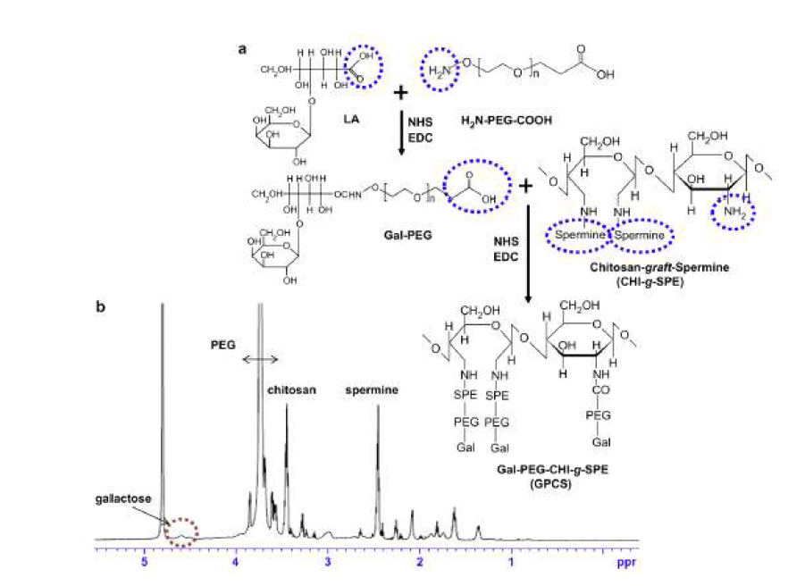 GPCS의 합성 scheme 및 합성된 복합체의 1H NMR 을 통한 확인