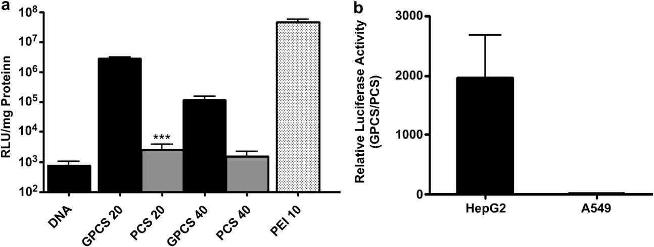 GPCS의 간세포 특이적 전달효율의 확인 (a) GPCS 와 PCS의 비교 (b) 간암세포 (HepG2)와 폐암세포 (A549)의 비교