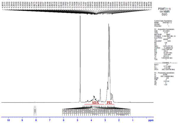 SDA/bPEI600의 1H-NMR 분석 였음