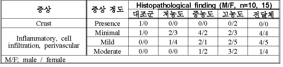 랫드에 대한 CRI-1309의 국소내성 시험 결과