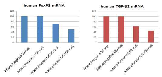네가지 인간 유전자를 발현하는 아데노바이러스에서 TGF-β2와 FoxP3 mRNA 발현저하