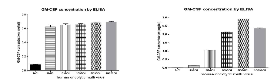 사람과 마우스의 GX-03 감염에 의한 GM-CSF 발현확인