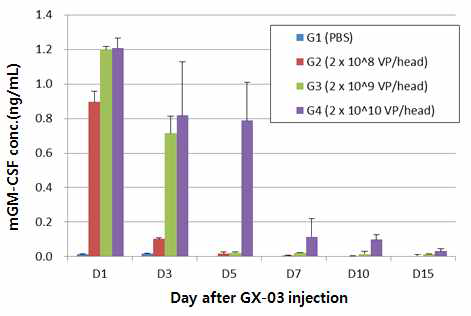 단회 투여 후, 종양 lysate의 mGM-CSF 발현량 확인