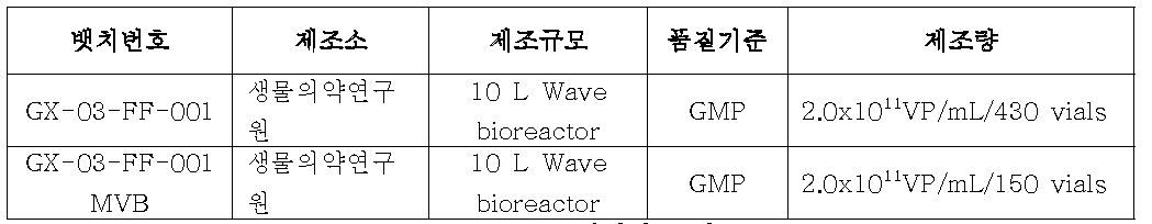 GMP 임상시료 제조