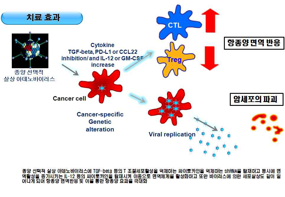 면역치료내성 극복형 항암핵산치료제 개발