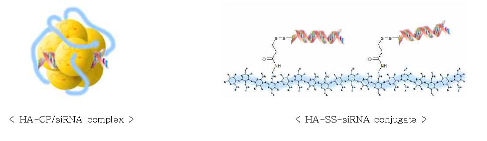 HA 복합체외 siRNA 탑재 모식도