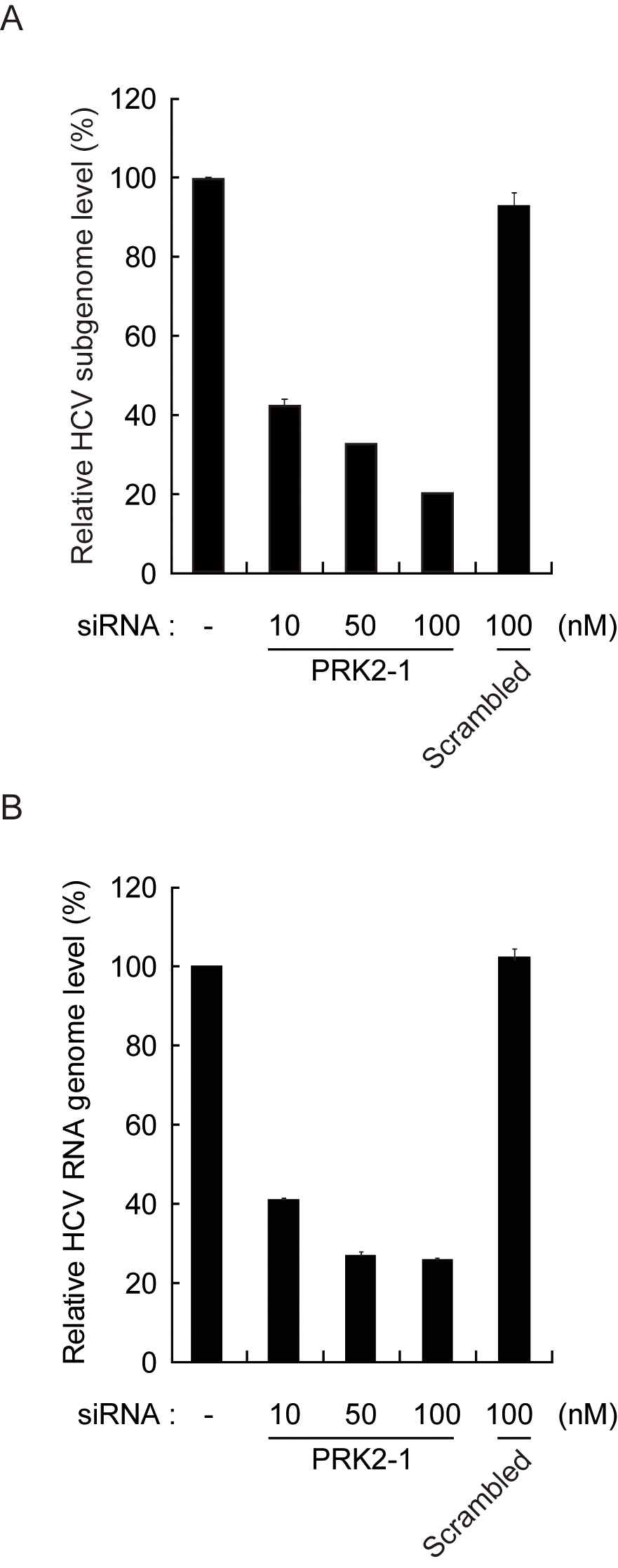HCV 감염세포주 에서의 PRK2 siRNA의 항바이러스 효능 분 석