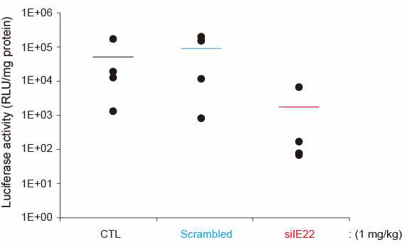 마우스 간에 전달된 siIE22에 의한 리포터 유전자 발현 억제 효과 분석 결과