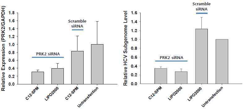 (좌측) C12-SPM을 이용한 PRK2 siRNA 전달 후 인간 간세포주 (Huh-7) 내 PRK2 발현 측정을 위한 정량적 PCR 분석 (siRNA 전달 후 2일째에 측정). (우측) C12-SPM을 이용하여 PRK2 siRNA를 HCV subgenome 보유 인간 간세포주(R1) 내로 전달한 후 관찰된 HCV 복제 감소(siRNA 전달 후 2일째에 측정).