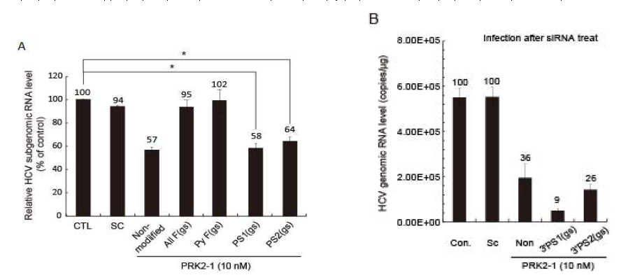 siPRK2-1와 수식화 된 siPRK2-1의 HCV 복제 억제 효능 비교 평가.