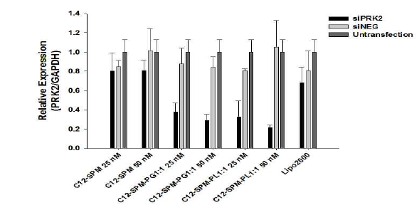 당으로 수식된 리피도이드 제형 (C12-SPM-PG, C12-SPM-PL)과 일반 제형 (C12-SPM)의 간세포 내로의 PRK2 siRNA 전달 효율 분석. PRK2 siRNA transfection 2일 후 PRK2 발현 측정을 위한 정량적 PCR 분석을 실시.