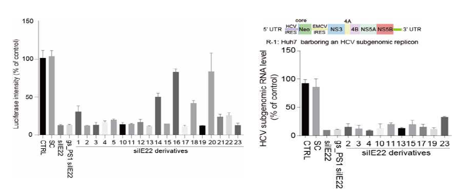 (좌측) 위의 23가지의 서열을 reporter를 지닌 HCV subgenome이 안정적으로 복제되고 있는 세포주에서 항 -HCV 효능을 100 pM에서 분석. (우측) 그림 2 왼쪽 그래프에서 선별된 서열을 HCV subgenome이 복제되고 있는 R-1 세포주에서 항-HCV 효능을 10 nM에서 분석.