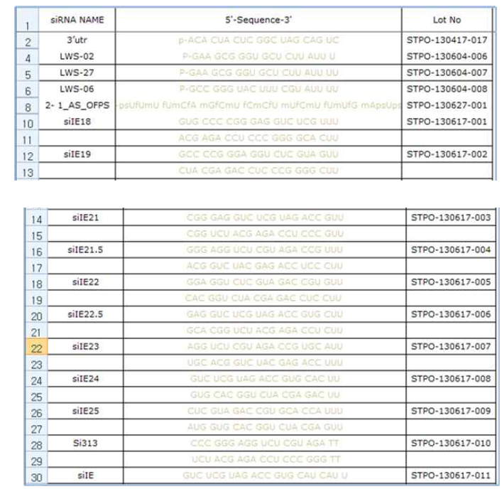 Passenger strand에 수식되어 있는 선별된 서열에 PS수식을 guide strand에 도입.