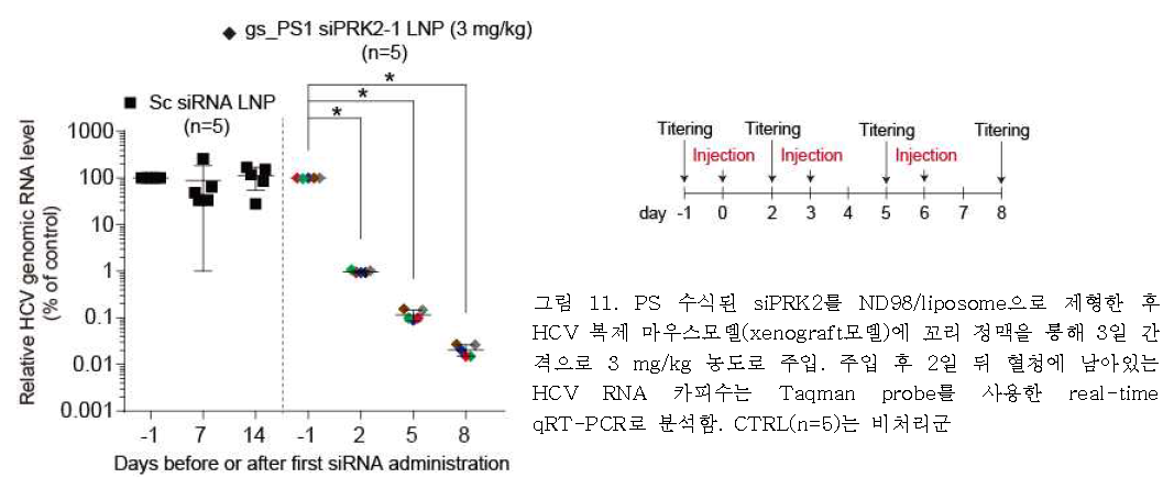 PS 수식된 siPRK2를 ND98/liposome으로 제형한 후 HCV 복제 마우스모델(xenograft모델)에 꼬리 정맥을 통해 3일 간 격으로 3 mg/kg 농도로 주입. 주입 후 2일 뒤 혈청에 남아있는 HCV RNA 카피수는 Taqman probe를 사용한 real-time qRT-PCR로 분석함. CTRL(n=5)는 비처리군
