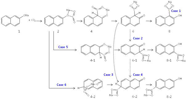 Na-naphthoxide carboxylation 예상 반응메커니즘