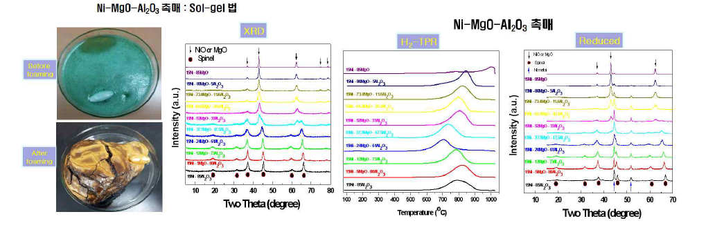 sol-gel 법에 의한 Ni-MgO-Al2O3 계 촉매의 전구체인 foam과 제조한 촉매의 XRD 패턴 (좌), H2-TPR 결과와 환원된 촉매의 XRD 패턴 (우)