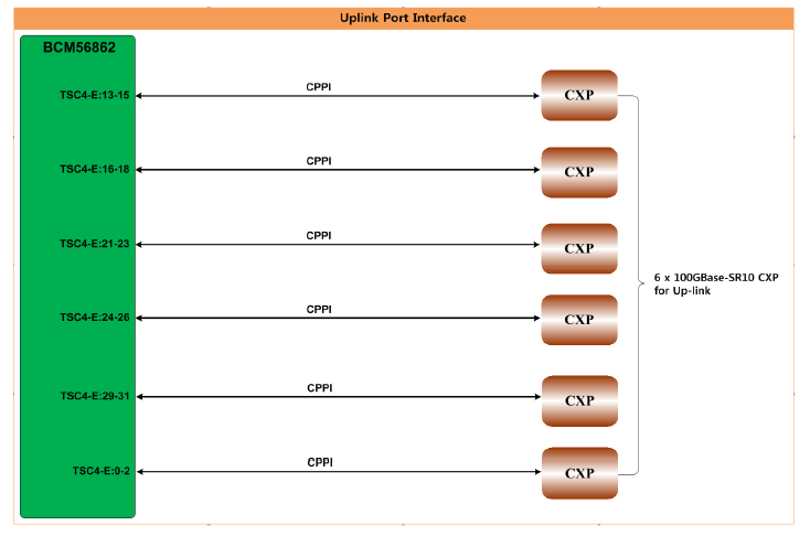 100G Uplink Interface