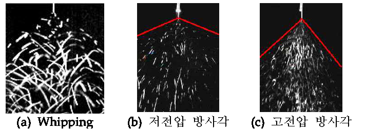 Whipping이 일어나는 jet사진과 전압에 따른 방사각.