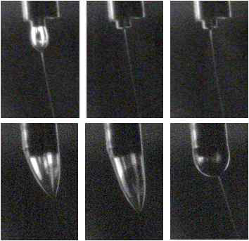 Bicoelectrospinning