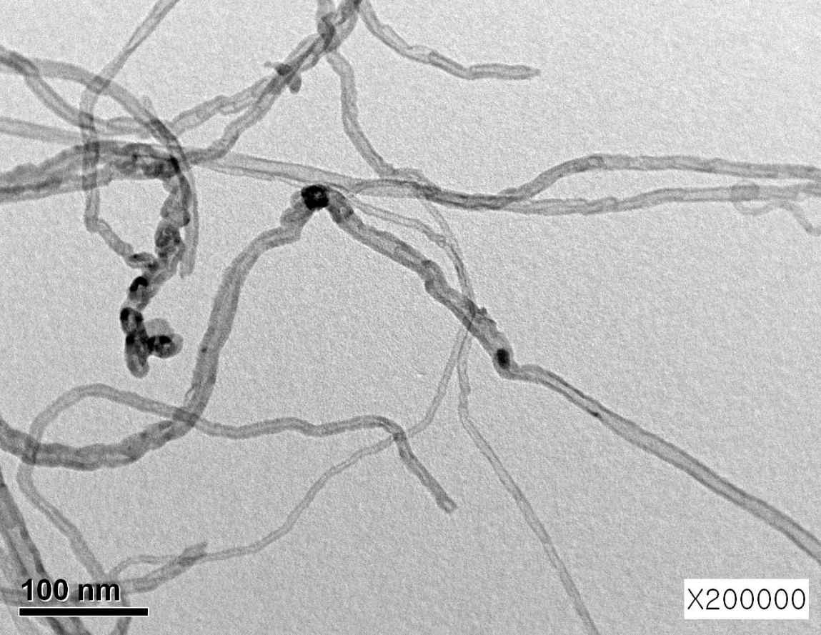 CNT-PIL의 TEM 사진