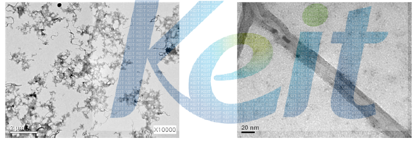 CNT-PIL-PEDOT의 TEM 사진