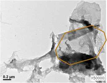 Graphene-PEDOT 3번 시료의 TEM 사진