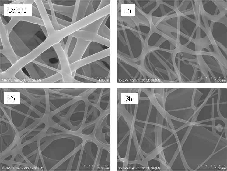 탄화시간별 포집된 전기 방사된 나노섬유의 FE-SEM 이미지
