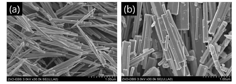 ZnO 나노막대의 SEM 이미지: (a) EBS, (b) DBS