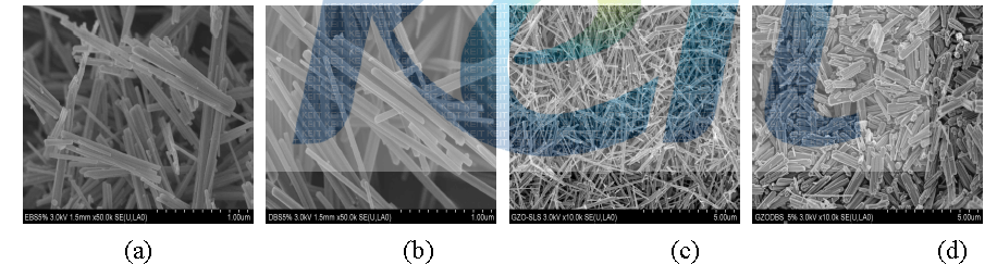 금속으로 도핑된 ZnO 나노막대의 SEM 이미지 : (a) AZO EBS, (b) AZO DBS, (c) GZO SLS, (d) GZO DBS