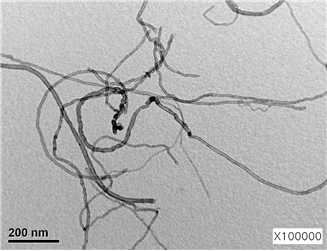 TEM image CNT-PIL.