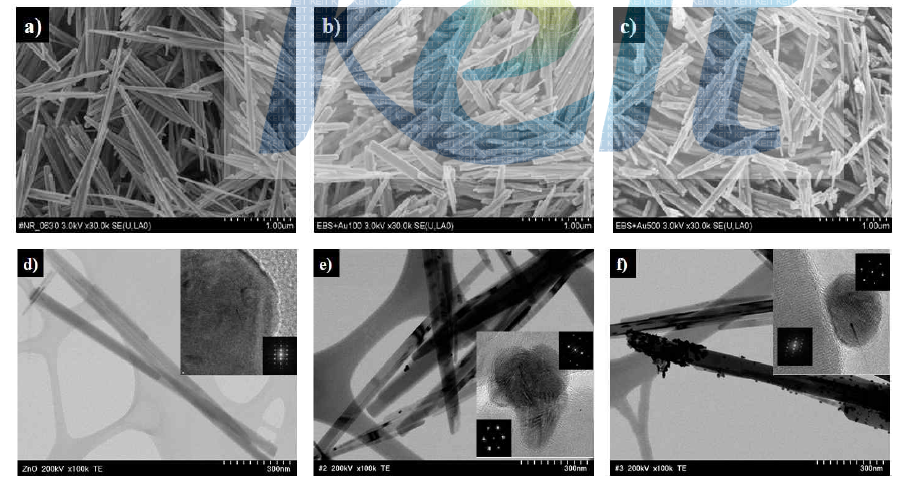 광담지된 ZnO 나노막대의 SEM과 TEM 이미지 : (a-d) ZnO nanorods, (b-e) Au 100 μM/ZnO nanorods, (c-f) Au 500 μM/ZnO nanorods