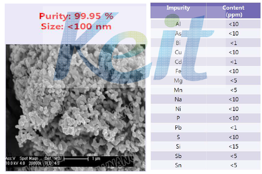 WC 나노분말의 SEM 및 ICP 결과