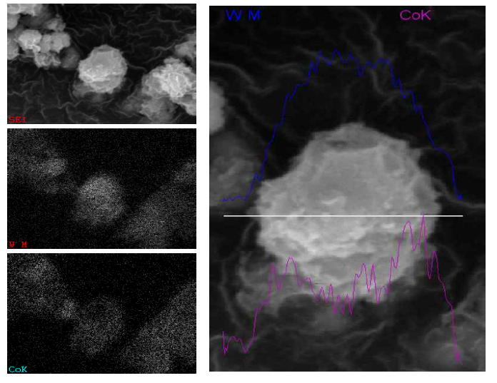WC-Co 복합 분말의 EDS 분석 결과